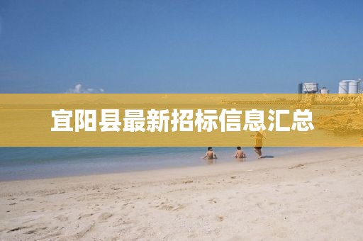 宜阳县最新招标信息汇总