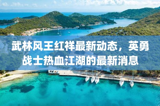 武林风王红祥最新动态，英勇战士热血江湖的最新消息