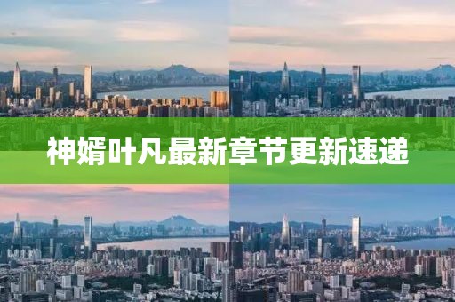 神婿叶凡最新章节更新速递