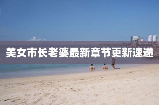 美女市长老婆最新章节更新速递