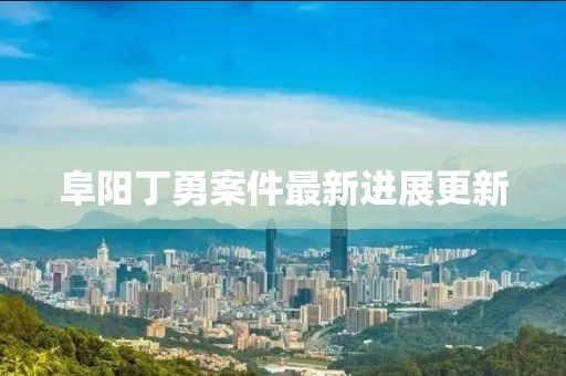 阜阳丁勇案件最新进展更新