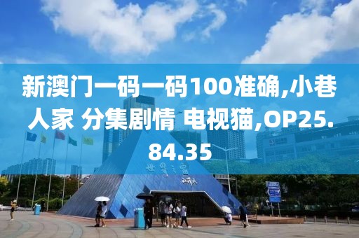新澳门一码一码100准确,小巷人家 分集剧情 电视猫,OP25.84.35