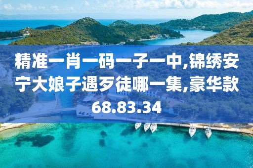 精准一肖一码一子一中,锦绣安宁大娘子遇歹徒哪一集,豪华款68.83.34