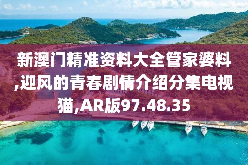 新澳门精准资料大全管家婆料,迎风的青春剧情介绍分集电视猫,AR版97.48.35