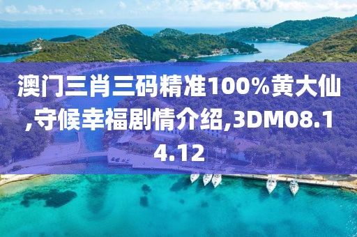 澳门三肖三码精准100%黄大仙,守候幸福剧情介绍,3DM08.14.12