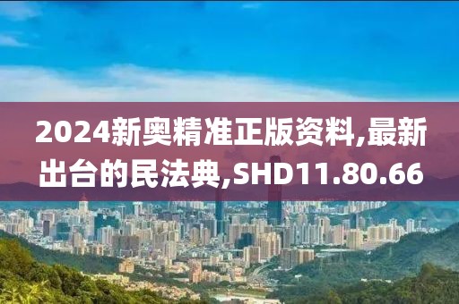 2024新奥精准正版资料,最新出台的民法典,SHD11.80.66
