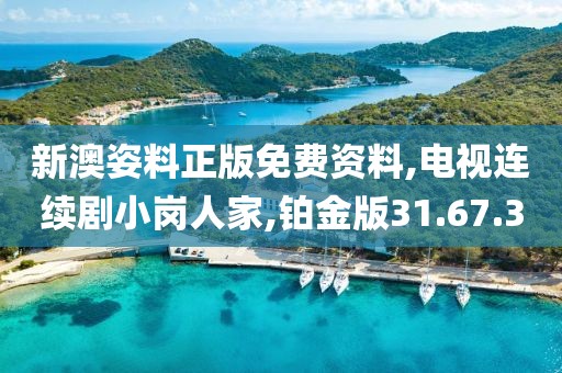 新澳姿料正版免费资料,电视连续剧小岗人家,铂金版31.67.3