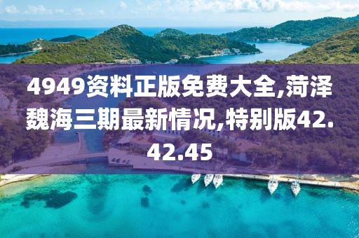 4949资料正版免费大全,菏泽魏海三期最新情况,特别版42.42.45