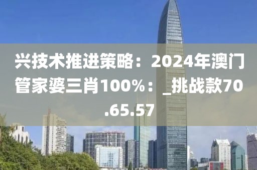 兴技术推进策略：2024年澳门管家婆三肖100%：_挑战款70.65.57