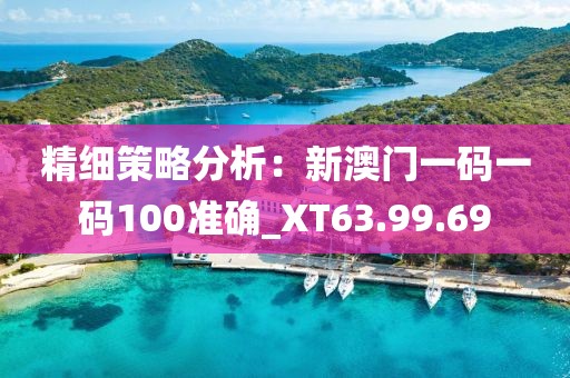 精细策略分析：新澳门一码一码100准确_XT63.99.69