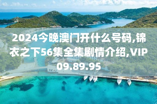 2024今晚澳门开什么号码,锦衣之下56集全集剧情介绍,VIP09.89.95