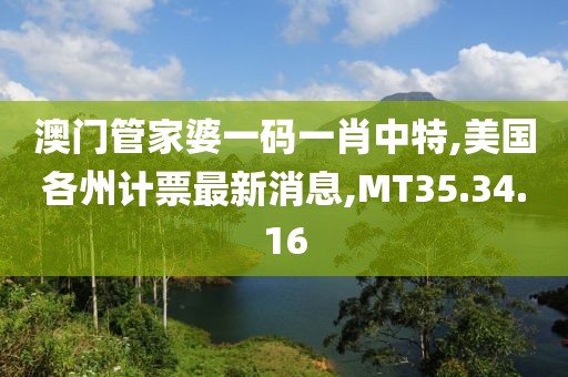 澳门管家婆一码一肖中特,美国各州计票最新消息,MT35.34.16