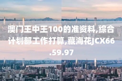 澳门王中王100的准资料,综合计划部工作打算,藏海花JCX66.59.97