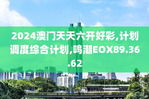 2024澳门天天六开好彩,计划调度综合计划,鸣潮EOX89.36.62