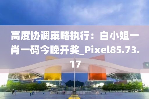 高度协调策略执行：白小姐一肖一码今晚开奖_Pixel85.73.17