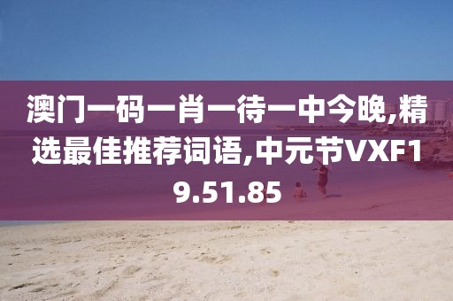 澳门一码一肖一待一中今晚,精选最佳推荐词语,中元节VXF19.51.85