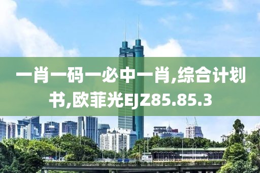 一肖一码一必中一肖,综合计划书,欧菲光EJZ85.85.3