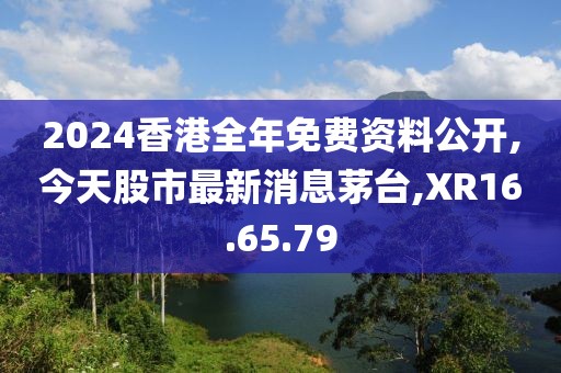 2024香港全年免费资料公开,今天股市最新消息茅台,XR16.65.79
