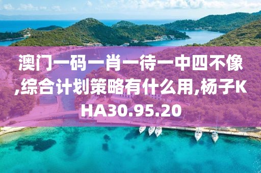 澳门一码一肖一待一中四不像,综合计划策略有什么用,杨子KHA30.95.20