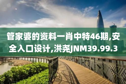 管家婆的资料一肖中特46期,安全入口设计,洪尧JNM39.99.30