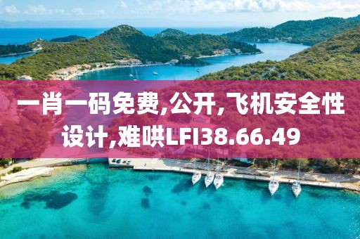 一肖一码免费,公开,飞机安全性设计,难哄LFI38.66.49