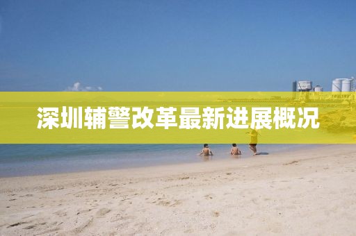 深圳辅警改革最新进展概况