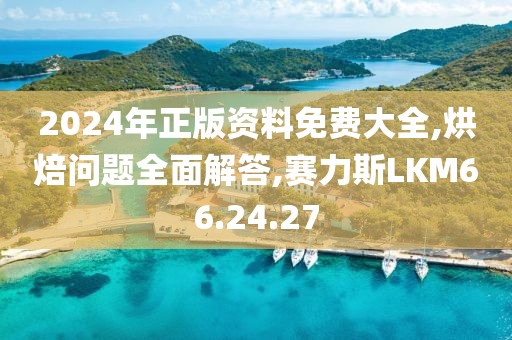 2024年正版资料免费大全,烘焙问题全面解答,赛力斯LKM66.24.27