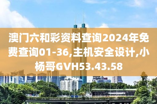 澳门六和彩资料查询2024年免费查询01-36,主机安全设计,小杨哥GVH53.43.58