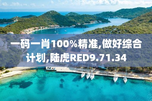 一码一肖100%精准,做好综合计划,陆虎RED9.71.34