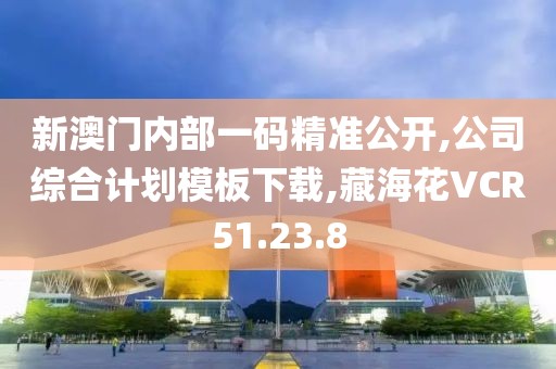 新澳门内部一码精准公开,公司综合计划模板下载,藏海花VCR51.23.8