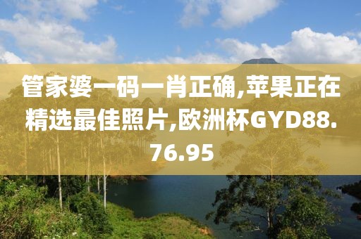 管家婆一码一肖正确,苹果正在精选最佳照片,欧洲杯GYD88.76.95