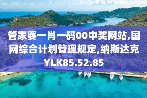 管家婆一肖一码00中奖网站,国网综合计划管理规定,纳斯达克YLK85.52.85