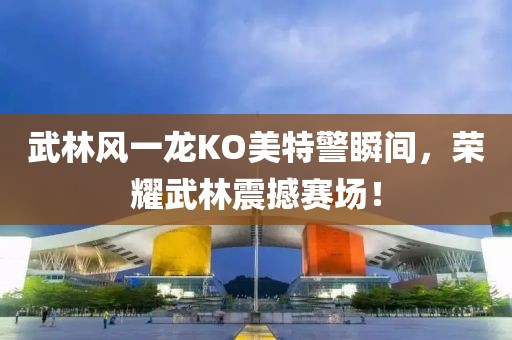 武林风一龙KO美特警瞬间，荣耀武林震撼赛场！