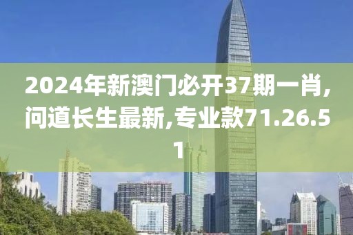 魅影风随 第19页