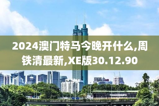 2024澳门特马今晚开什么,周铁清最新,XE版30.12.90