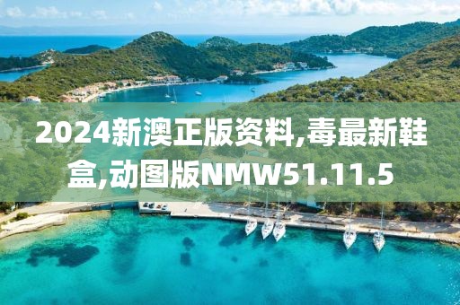 2024新澳正版资料,毒最新鞋盒,动图版NMW51.11.5