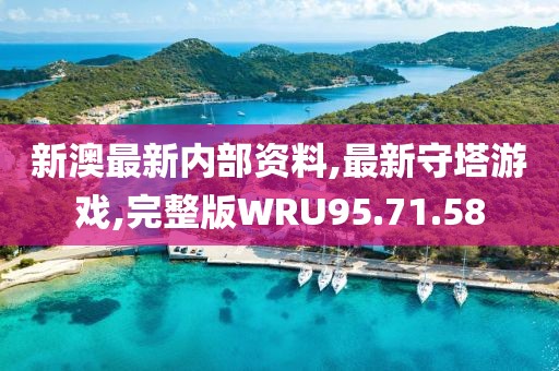 新澳最新内部资料,最新守塔游戏,完整版WRU95.71.58