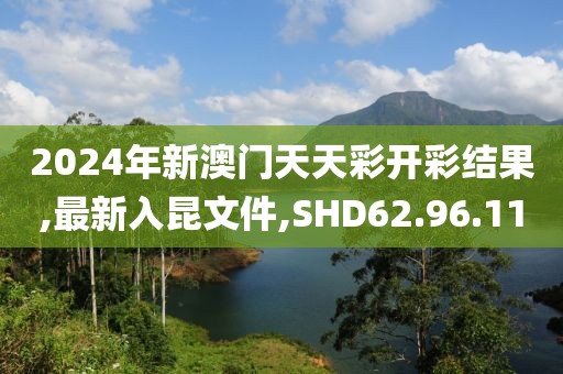 2024年新澳门天天彩开彩结果,最新入昆文件,SHD62.96.11