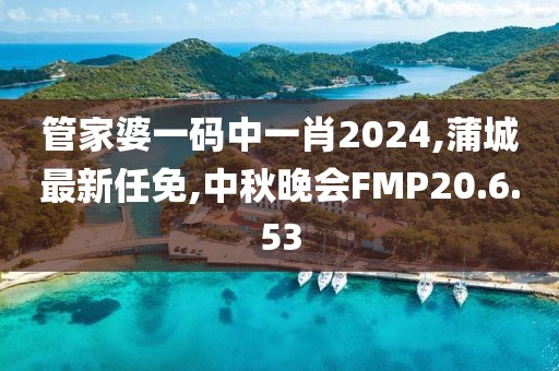 管家婆一码中一肖2024,蒲城最新任免,中秋晚会FMP20.6.53