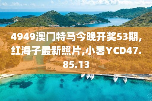 4949澳门特马今晚开奖53期,红海子最新照片,小暑YCD47.85.13