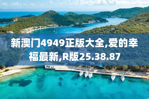 新澳门4949正版大全,爱的幸福最新,R版25.38.87