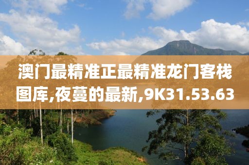 澳门最精准正最精准龙门客栈图库,夜蔓的最新,9K31.53.63