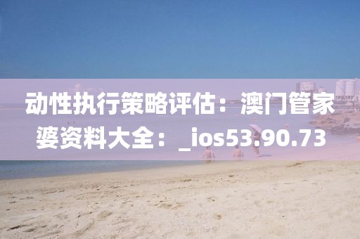 动性执行策略评估：澳门管家婆资料大全：_ios53.90.73