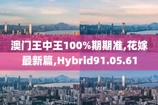 澳门王中王100%期期准,花嫁最新篇,Hybrid91.05.61