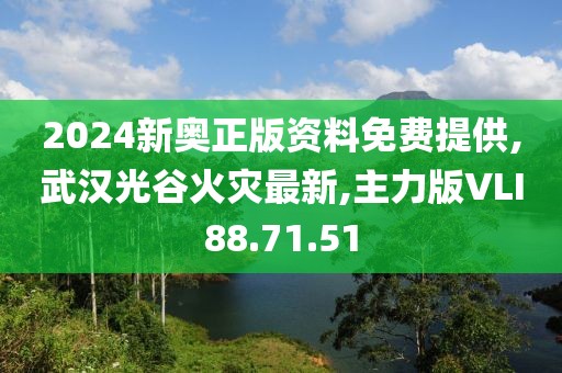 2024新奥正版资料免费提供,武汉光谷火灾最新,主力版VLI88.71.51