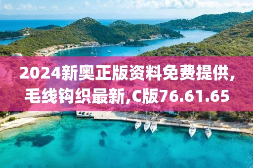 2024新奥正版资料免费提供,毛线钩织最新,C版76.61.65