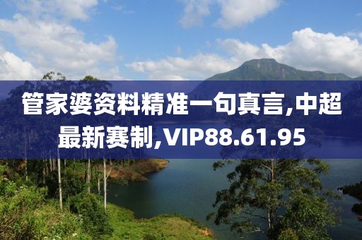 管家婆资料精准一句真言,中超最新赛制,VIP88.61.95