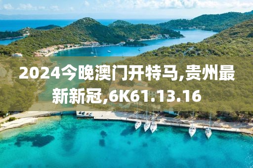 2024今晚澳门开特马,贵州最新新冠,6K61.13.16