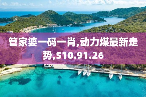 管家婆一码一肖,动力煤最新走势,S10.91.26