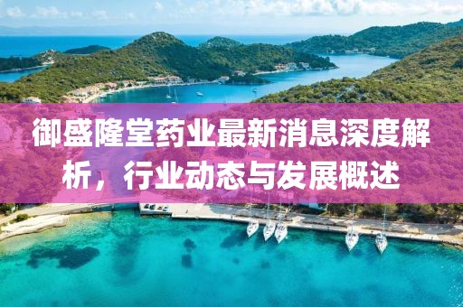 御盛隆堂药业最新消息深度解析，行业动态与发展概述